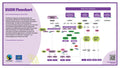 EUDR Flowchart
