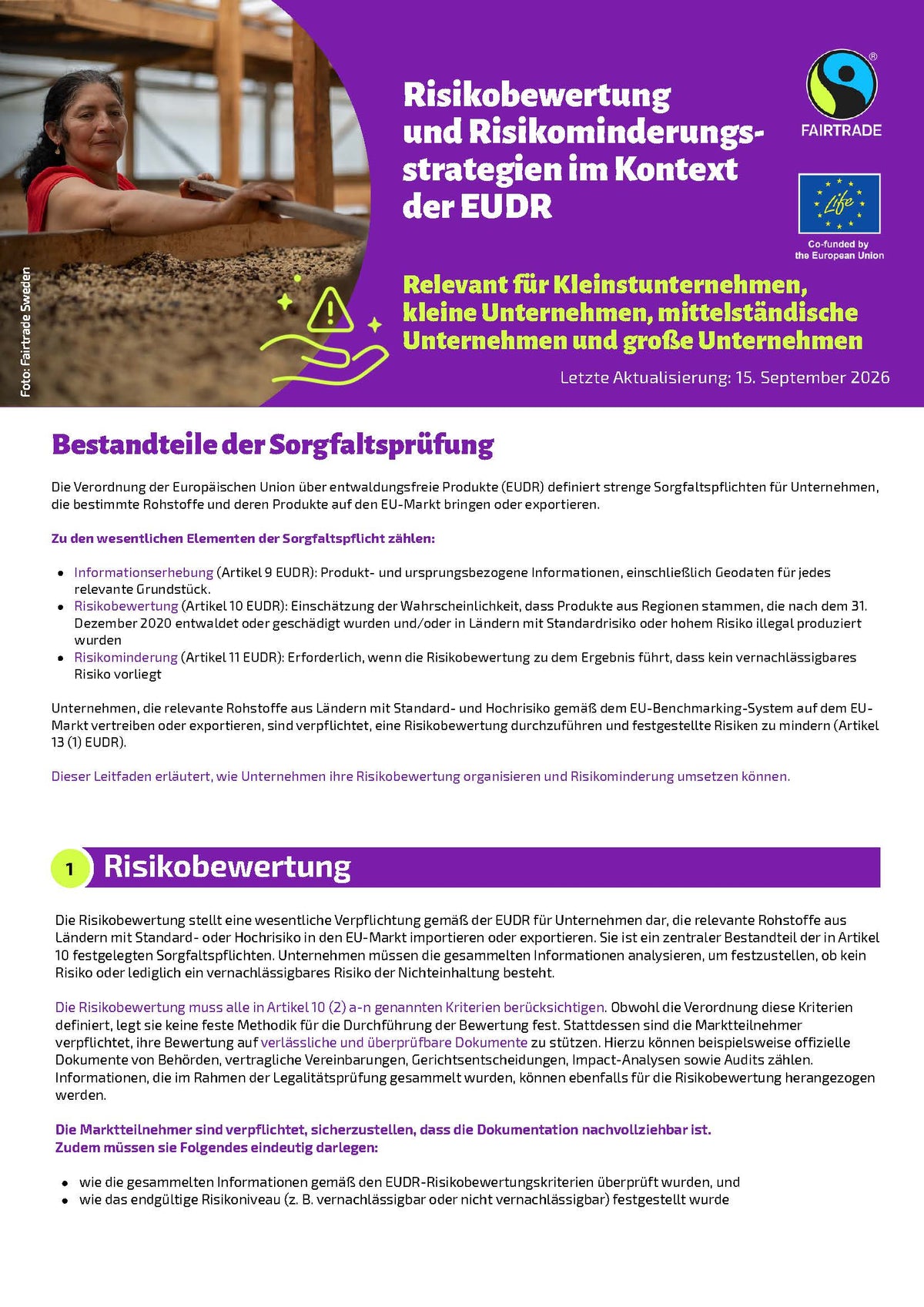 Risikobewertung und Risikominderungsmaßnahmen