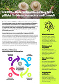 Unternehmerische Sorgfaltspflicht für Menschenrechte und Umwelt