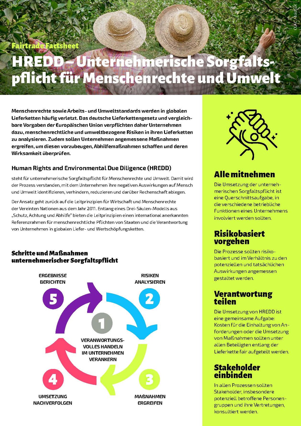 Unternehmerische Sorgfaltspflicht für Menschenrechte und Umwelt